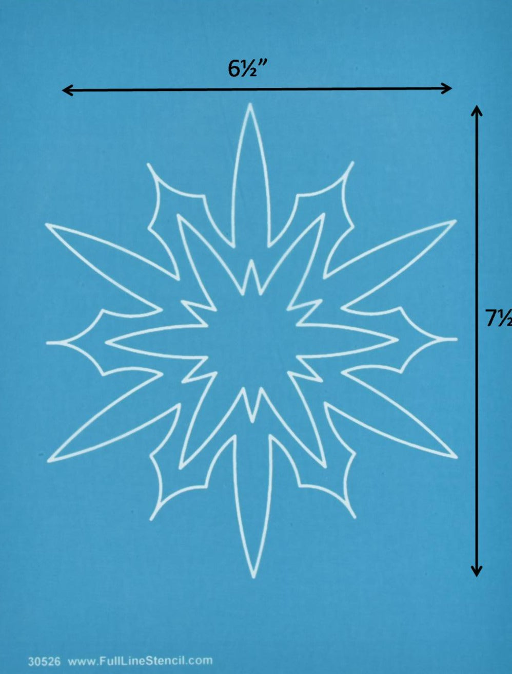30526 Snowflake in a Snowflake